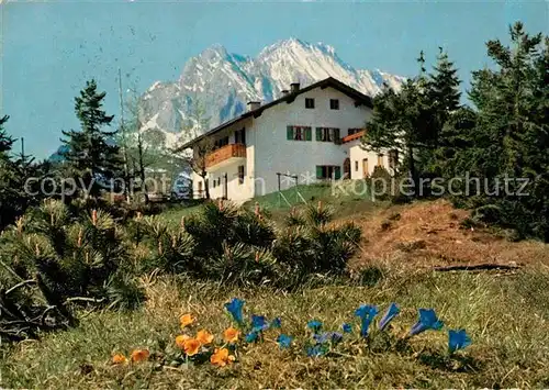 AK / Ansichtskarte Mittenwald Karwendel Tirol Sankt Anton Kranzberg Wetterspitze Enzianbluete Kat. Schwaz