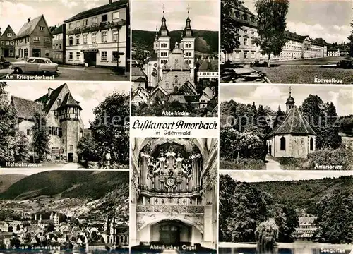 AK / Ansichtskarte Amorbach Konventbau Amorsbrunn Seegarten Abteikirche mit Orgel Kat. Amorbach