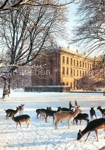 AK / Ansichtskarte Oxford Oxfordshire Magdalen College Deer Park and New Building Kat. Oxford