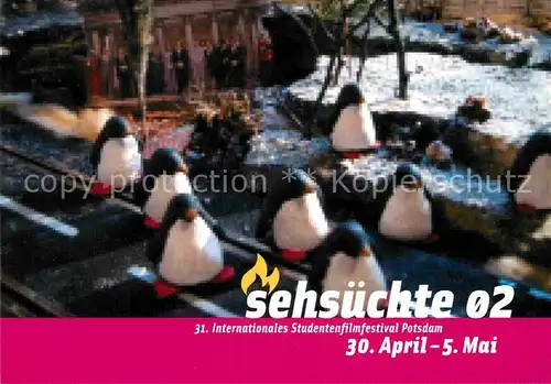AK / Ansichtskarte Pinguin 31. Internationales Studentenfilmfestival Potsdam Sehsuechte 02 Kat. Tiere
