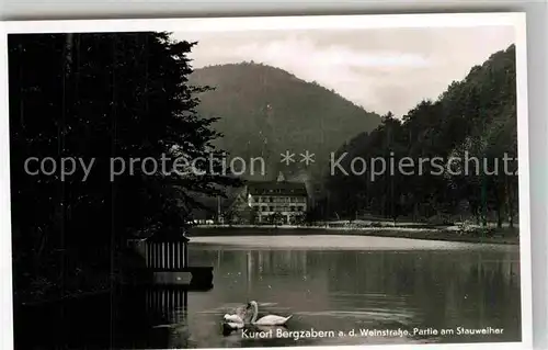 AK / Ansichtskarte Bergzabern Bad Partie am Stauweiher Kat. Bad Bergzabern