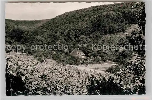 AK / Ansichtskarte Bergzabern Bad Waffenschmiede Corell Kat. Bad Bergzabern