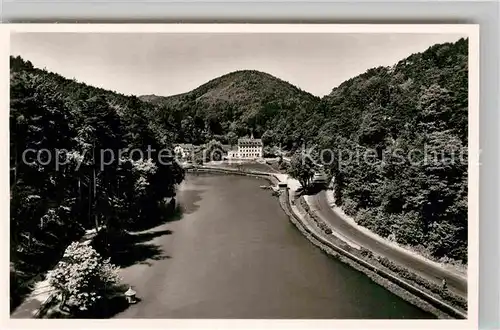 AK / Ansichtskarte Bergzabern Bad Schwanenweiher Kurhaus Pfaezer Kat. Bad Bergzabern