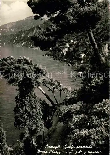 AK / Ansichtskarte Camogli Golfo paradiso Punta Chiappa angolo pittoresco Kat. Italien