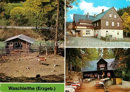 AK / Ansichtskarte Waschleithe Tierpark Gaststaetten Kat. Beierfeld Erzgebirge
