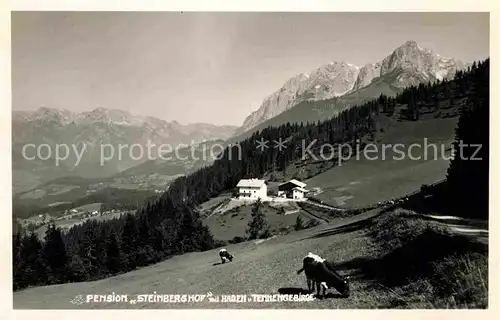 AK / Ansichtskarte Pfarrwerfen Pension Steinberghof Kat. Pfarrwerfen