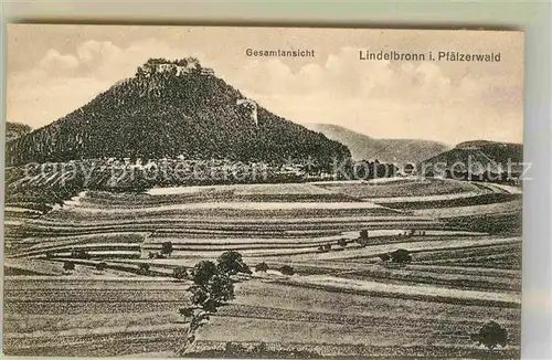 AK / Ansichtskarte Lindelbrunn Burg Panorama Kat. Vorderweidenthal