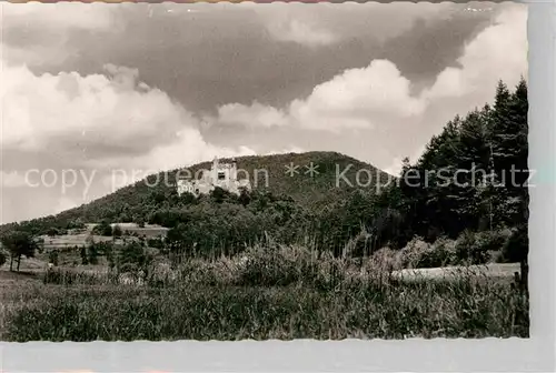 AK / Ansichtskarte Bergzabern Bad Burg Berwartstein Kat. Bad Bergzabern