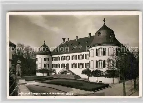 AK / Ansichtskarte Bergzabern Bad Schloss Kat. Bad Bergzabern