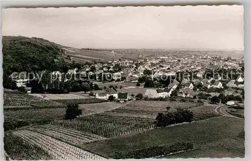 AK / Ansichtskarte Bergzabern Bad Panorama Kat. Bad Bergzabern