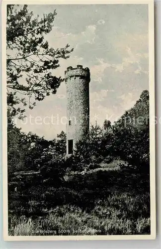 AK / Ansichtskarte Bergzabern Bad Staffelsberg Turm Kat. Bad Bergzabern