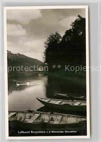 AK / Ansichtskarte Bergzabern Bad Stauweiher Bootsliegeplatz Kat. Bad Bergzabern