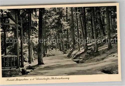 AK / Ansichtskarte Bergzabern Bad Philosophenweg Kat. Bad Bergzabern