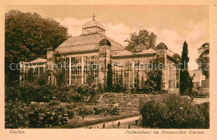 Ak Ansichtskarte Giessen Lahn Botanischer Garten Palmenhaus Kat