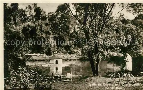 AK / Ansichtskarte Zweibruecken Idylle Rosengarten Schwaene Kat. Zweibruecken