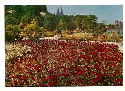 AK / Ansichtskarte Bundesgartenschau Koeln Rosengarten  Kat. Expositions