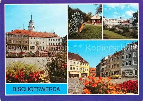 AK / Ansichtskarte Bischofswerda Markt Tierpark Klubhaus Berthold Brecht Kat. Bischofswerda