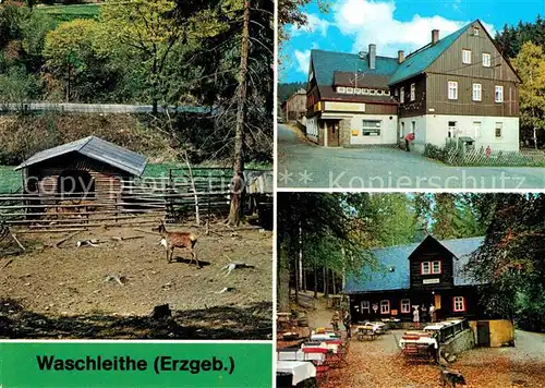 AK / Ansichtskarte Waschleithe Tierpark Gaststaette Osterlamm Koehlerhuette Kat. Beierfeld Erzgebirge