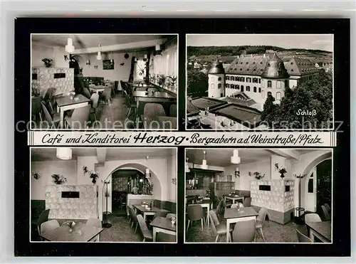 AK / Ansichtskarte Bergzabern Bad Cafe Herzog Schloss Kat. Bad Bergzabern