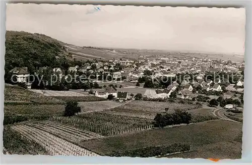 AK / Ansichtskarte Bergzabern Bad Panorama Kat. Bad Bergzabern