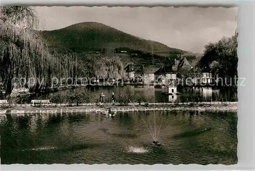 AK / Ansichtskarte Annweiler Trifels mit Schwanenteich Kat. Annweiler am Trifels