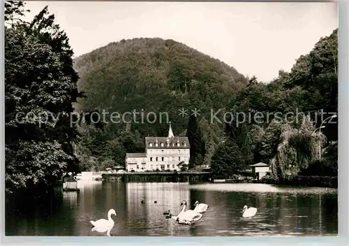 AK / Ansichtskarte Bergzabern Bad Schwanenweiher Kat. Bad Bergzabern