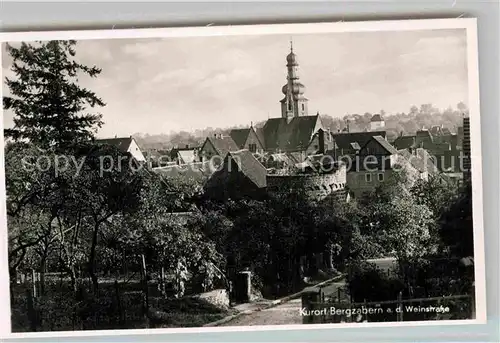 AK / Ansichtskarte Bad Bergzabern Teilansicht Kirche Kat. Bad Bergzabern
