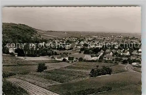 AK / Ansichtskarte Bad Bergzabern Panorama  Kat. Bad Bergzabern