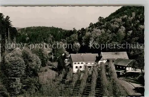 AK / Ansichtskarte Bad Bergzabern Gasthof Augspurger Muehle Kat. Bad Bergzabern