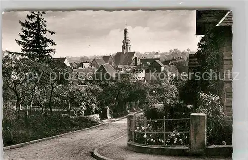 AK / Ansichtskarte Bad Bergzabern Teilansicht  Kat. Bad Bergzabern