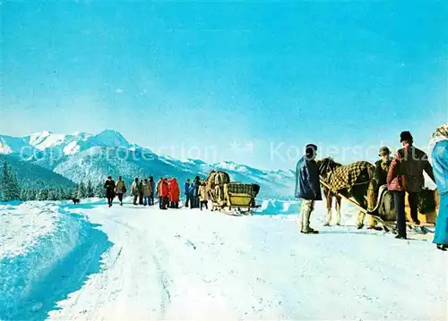 AK / Ansichtskarte Zakopane Kulig na Cyrhli Tatry Hohe Tatra Winterpanorama Kat. Polen
