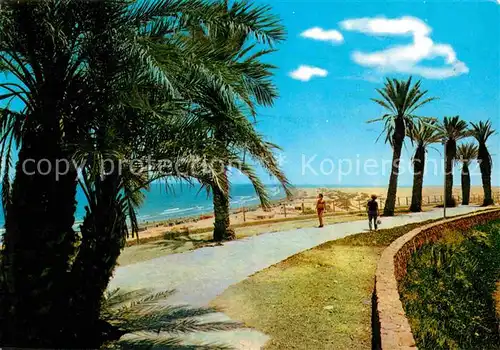 AK / Ansichtskarte Playa del Ingles Gran Canaria Panorama Strand Promenade Palmen Kat. San Bartolome de Tirajana