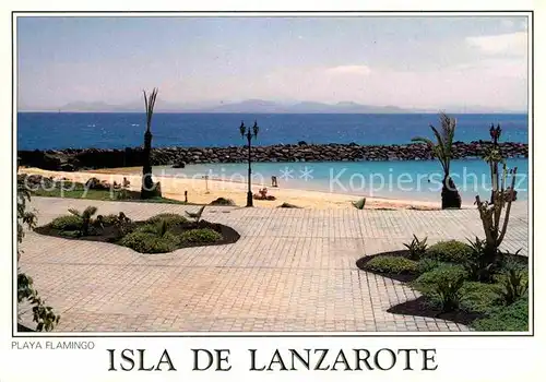 AK / Ansichtskarte Lanzarote Kanarische Inseln Playa Flamingo