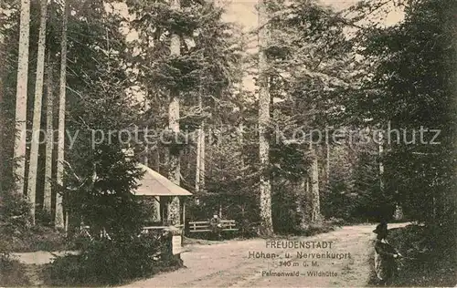 AK / Ansichtskarte Freudenstadt Palmenwald Wildhuette Kat. Freudenstadt