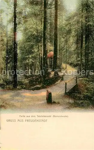 AK / Ansichtskarte Freudenstadt Teicheleswald Bismarckruhe Kat. Freudenstadt