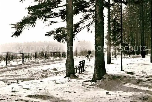 AK / Ansichtskarte Freudenstadt Parkwald Kat. Freudenstadt