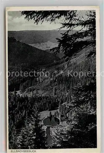 AK / Ansichtskarte Kniebis Freudenstadt Ellbachseeblick Kat. Freudenstadt