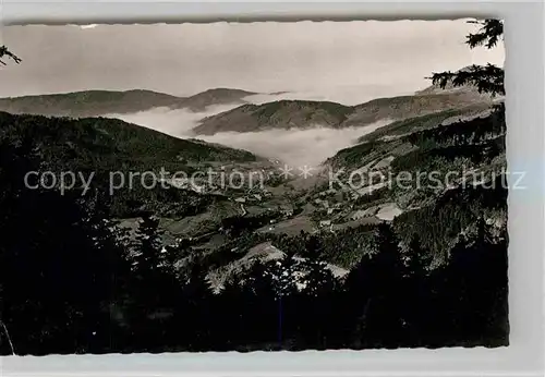 AK / Ansichtskarte Freudenstadt Blick ins Renchtal Kat. Freudenstadt