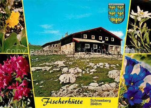 AK / Ansichtskarte Puchberg Schneeberg Fischerhuette Alpenflora Blauer Enzian Edelweiss Kat. Puchberg am Schneeberg