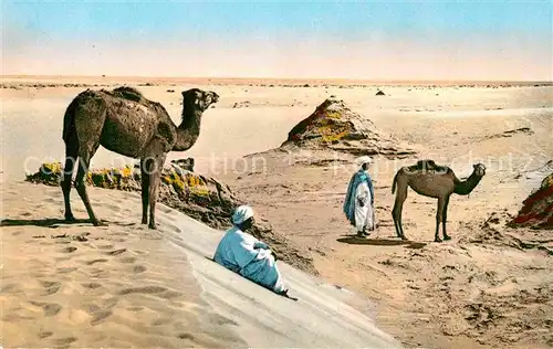 AK / Ansichtskarte Kamele Paysage saharien au Desert Kat. Tiere