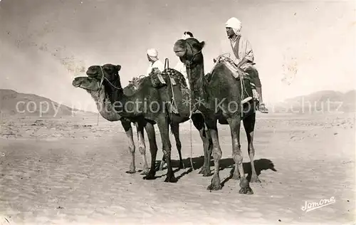 AK / Ansichtskarte Kamele Chameliers dans le Desert Kat. Tiere