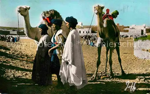 AK / Ansichtskarte Kamele Regard vers le Sud Maroc Kat. Tiere