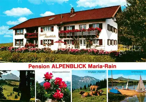 AK / Ansichtskarte Maria Rain Allgaeu Pension Alpenblick Gruentensee  Kat. Mittelberg Oy