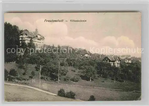 AK / Ansichtskarte Freudenstadt Villenkolonie Kat. Freudenstadt