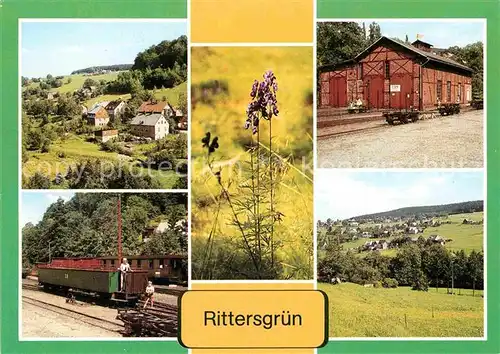 AK / Ansichtskarte Rittersgruen Teilansicht Blauer Eisenhut Museum Bahnhof Kleinbahnwagen OT Hammerberg Kat. Rittersgruen