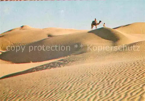 AK / Ansichtskarte Kamele Sand Dunes Rajasthan India  Kat. Tiere
