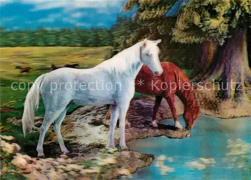 AK / Ansichtskarte Pferde 3D Karte  Kat. Tiere