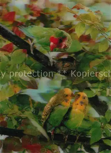 AK / Ansichtskarte Papagei Parrots 3D Karte  Kat. Tiere