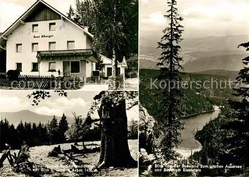 AK / Ansichtskarte Regenhuette Bayerisch Eisenstein Haus Alberger Grosser Arber Bayerisch Eisenstein Kat. Bayerisch Eisenstein