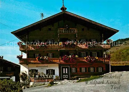 AK / Ansichtskarte Aurach Kitzbuehel Branderhof  Kat. Aurach bei Kitzbuehel